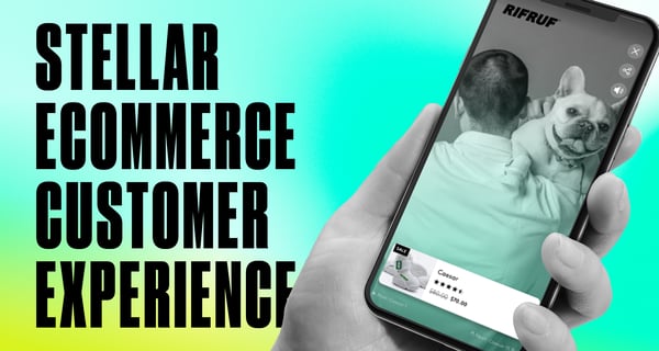 Your Go-To Guide for Creating a Stellar eCommerce Customer Experience